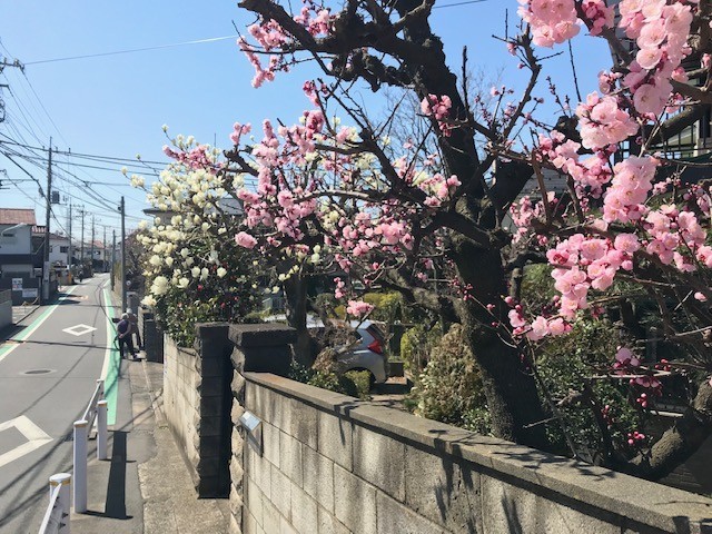 f:id:takase22:20190318112151j:plain f:id:takase22:20190318112151j:plain