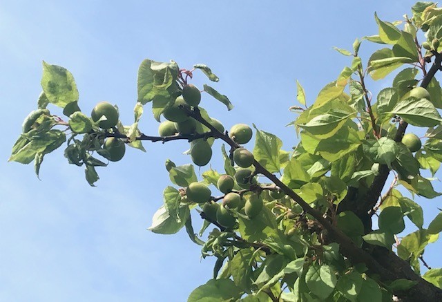 f:id:takase22:20190420084642j:plain f:id:takase22:20190420084642j:plain