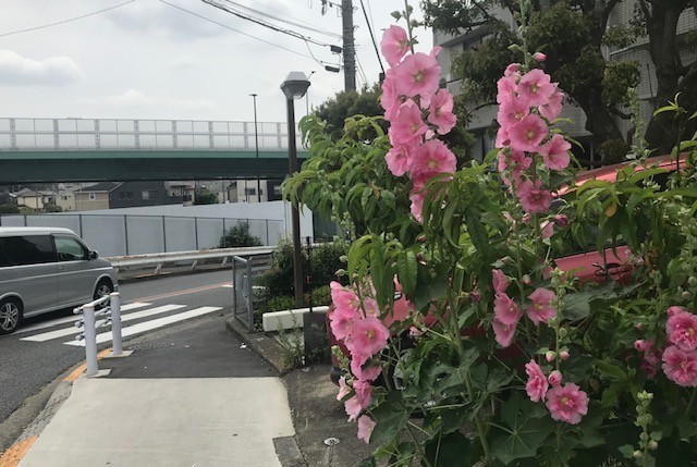 f:id:takase22:20190604100407j:plain f:id:takase22:20190604100407j:plain