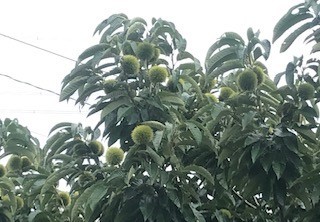 f:id:takase22:20190822101238j:plain f:id:takase22:20190822101238j:plain