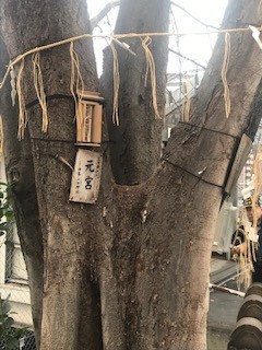 f:id:takase22:20191218105902j:plain