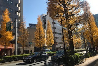 f:id:takase22:20191220112106j:plain f:id:takase22:20191220112106j:plain