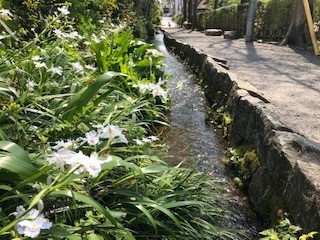 f:id:takase22:20200409121942j:plain