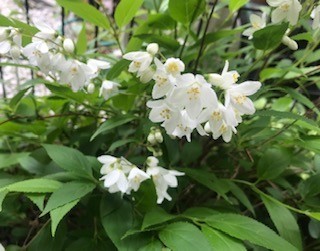 f:id:takase22:20200421115418j:plain f:id:takase22:20200421115418j:plain