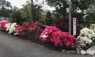 f:id:takase22:20200421143819j:plain