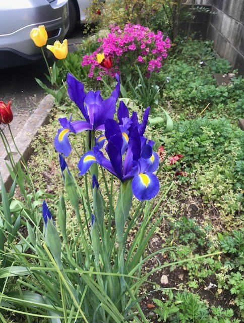 f:id:takase22:20200424165913j:plain f:id:takase22:20200424165913j:plain