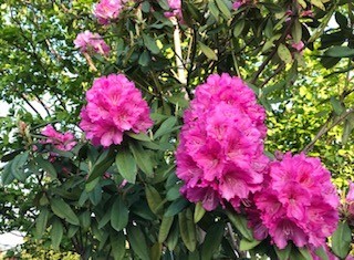 f:id:takase22:20200425172958j:plain f:id:takase22:20200425172958j:plain