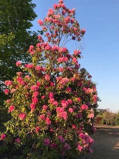 f:id:takase22:20200425173034j:plain f:id:takase22:20200425173034j:plain