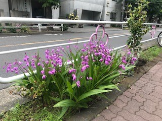 f:id:takase22:20200510160312j:plain f:id:takase22:20200510160312j:plain