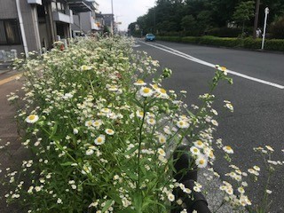 f:id:takase22:20200527155147j:plain f:id:takase22:20200527155147j:plain