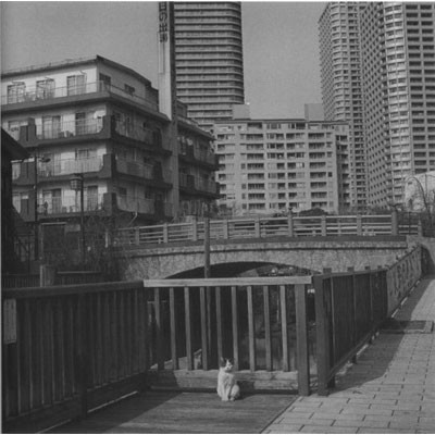 f:id:takase22:20200824143228j:plain