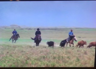 f:id:takase22:20200903003946j:plain