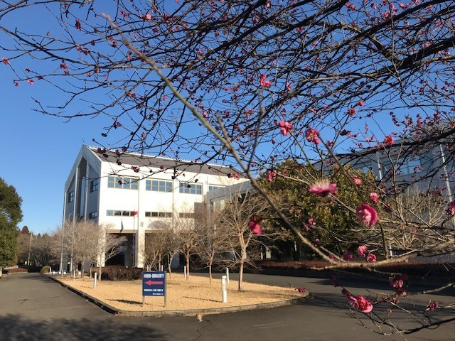 f:id:takase22:20210203081714j:plain