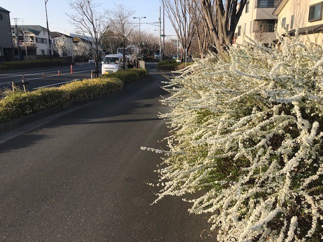 f:id:takase22:20210310164158j:plain