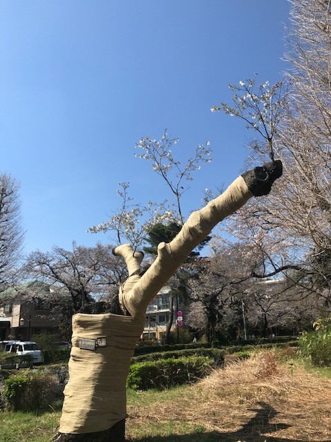 f:id:takase22:20210324131907j:plain