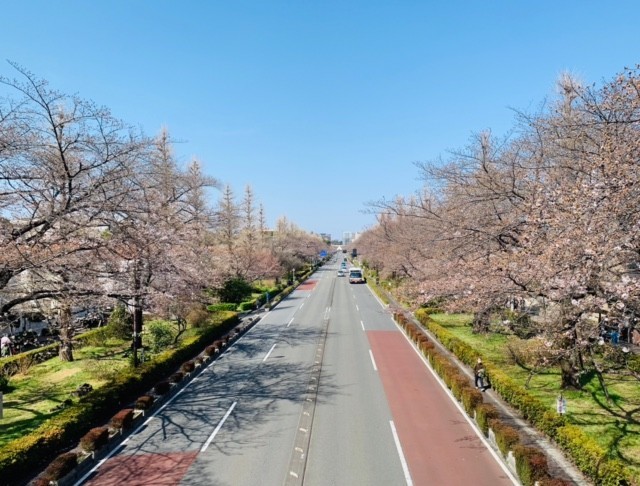 f:id:takase22:20210324155017j:plain