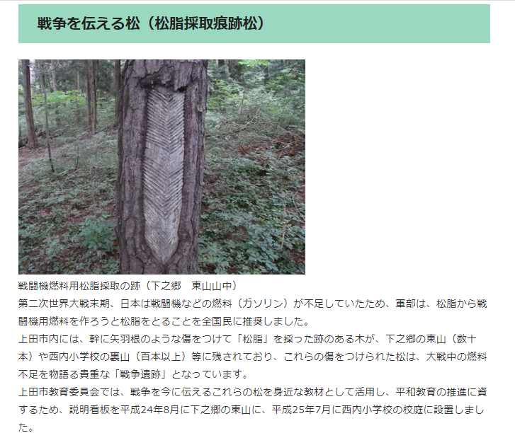 f:id:takase22:20210502113501p:plain