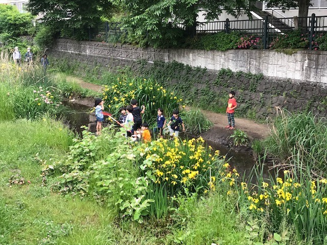 f:id:takase22:20210516162910j:plain
