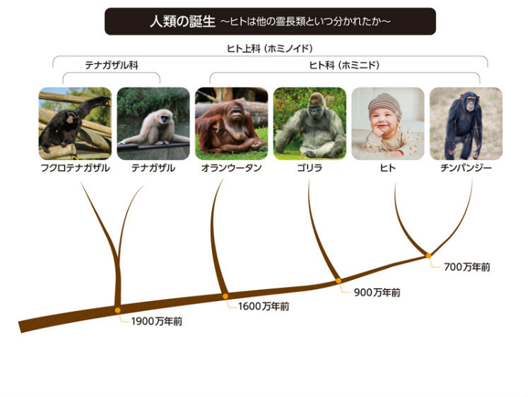 f:id:takase22:20210529014906j:plain