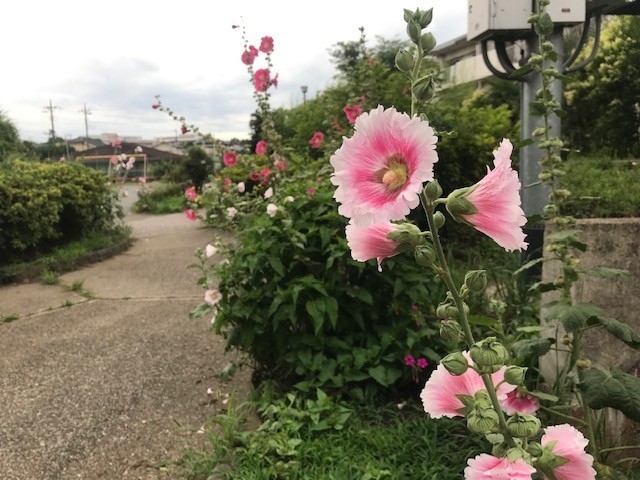 f:id:takase22:20210620172405j:plain
