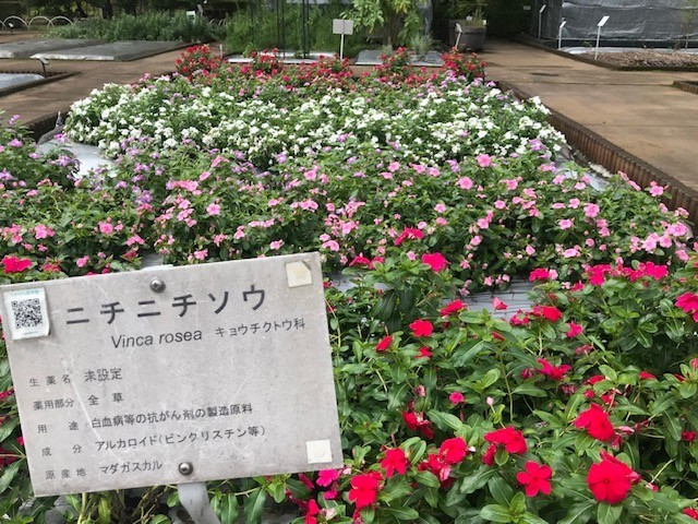 f:id:takase22:20210907114950j:plain