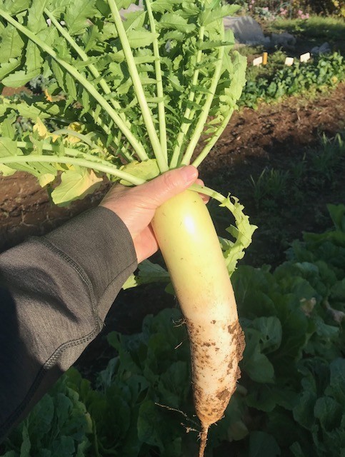 f:id:takase22:20211110145622j:plain