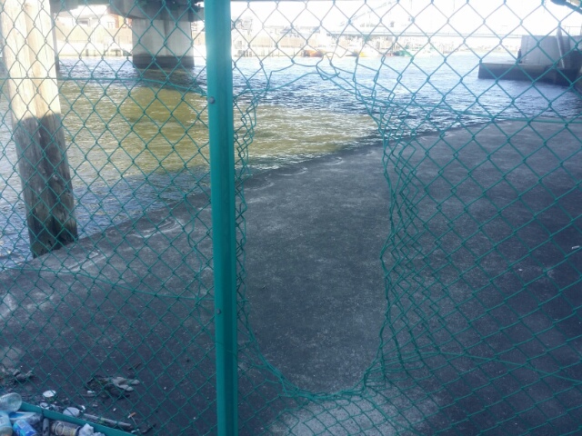 f:id:takasemariko:20160724234155j:plain