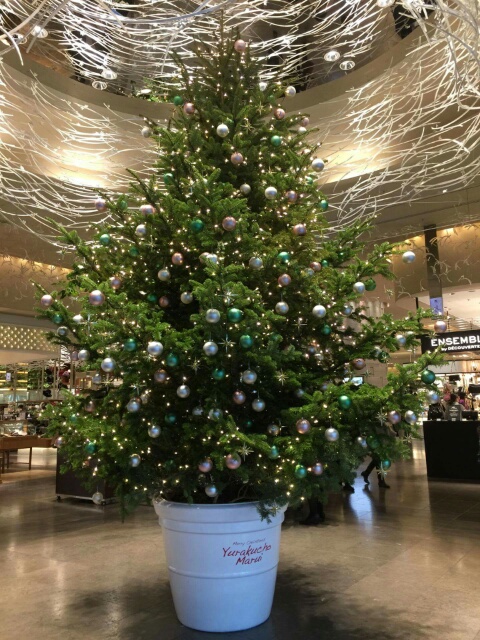 f:id:takasemariko:20161122220458j:plain f:id:takasemariko:20161122220458j:plain