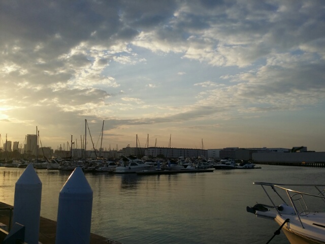 f:id:takasemariko:20170904031115j:plain