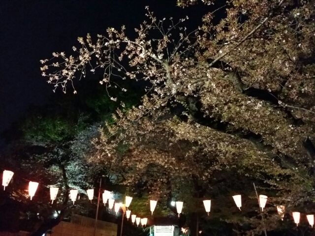 f:id:takasemariko:20180402005529j:plain