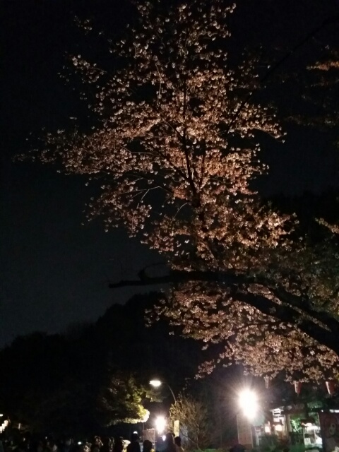 f:id:takasemariko:20180402005724j:plain