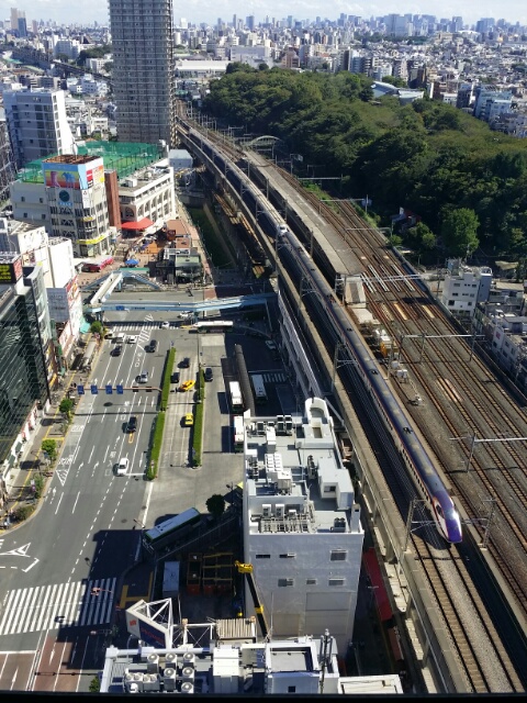 f:id:takasemariko:20180909214254j:plain f:id:takasemariko:20180909214254j:plain