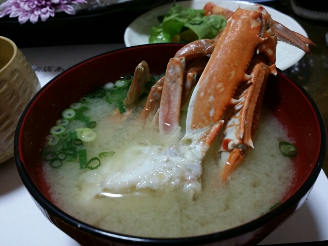 f:id:takasemariko:20181230201822j:plain