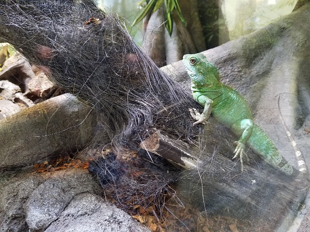 f:id:takasemariko:20190707203445j:image