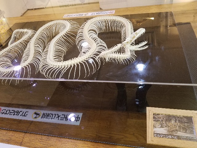 f:id:takasemariko:20190707203931j:image