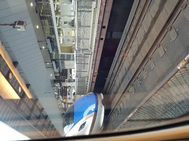 f:id:takasemariko:20190802073041j:image