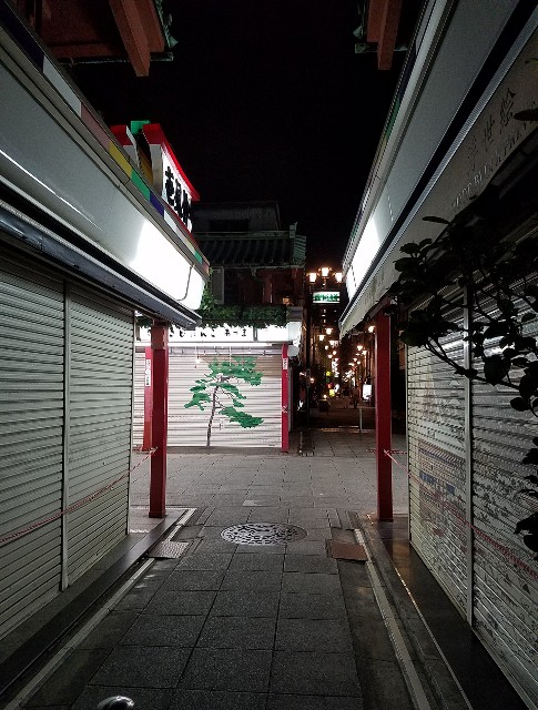 f:id:takasemariko:20190901220848j:image