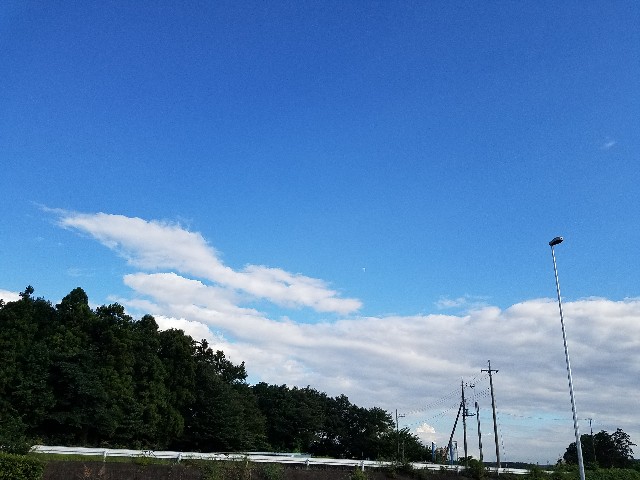 f:id:takasemariko:20190908095222j:image