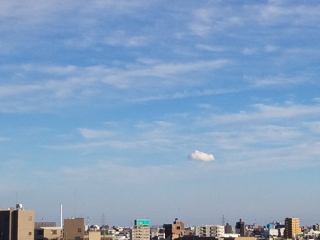 f:id:takasemariko:20200206143253j:image f:id:takasemariko:20200206143253j:image