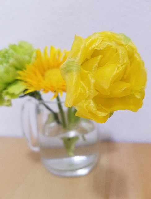 f:id:takasemariko:20200217032151j:image
