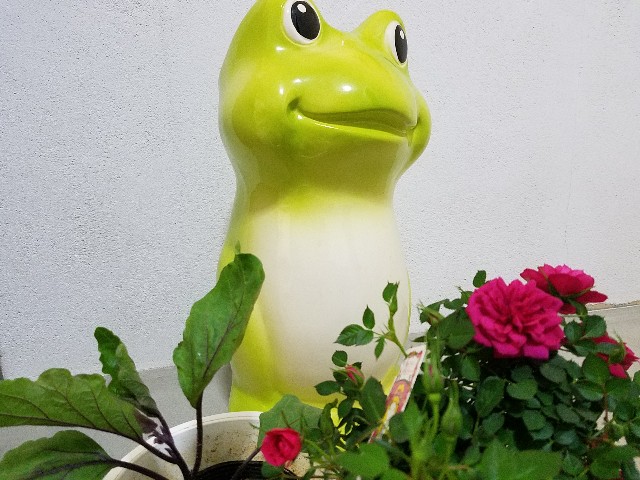 f:id:takasemariko:20200426232551j:image