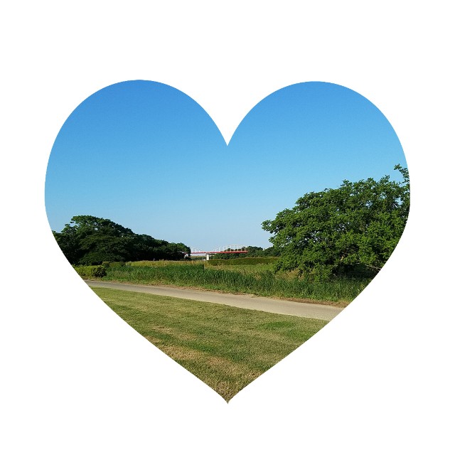 f:id:takasemariko:20200711234246j:image f:id:takasemariko:20200711234246j:image