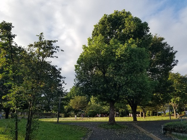 f:id:takasemariko:20210906085125j:image f:id:takasemariko:20210906085125j:image