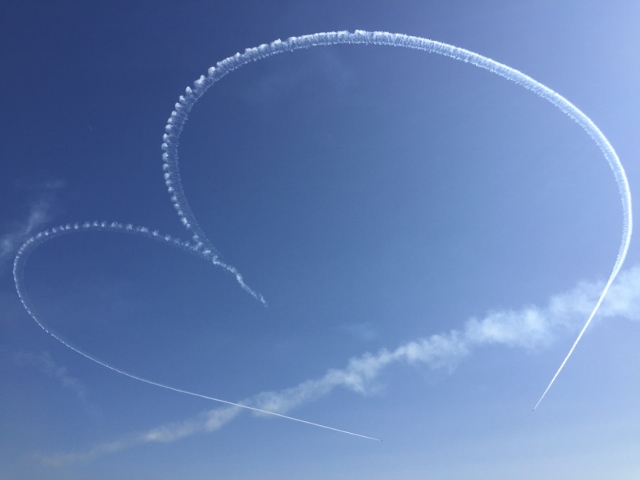 f:id:takashi-haru:20190407165028j:plain f:id:takashi-haru:20190407165028j:plain