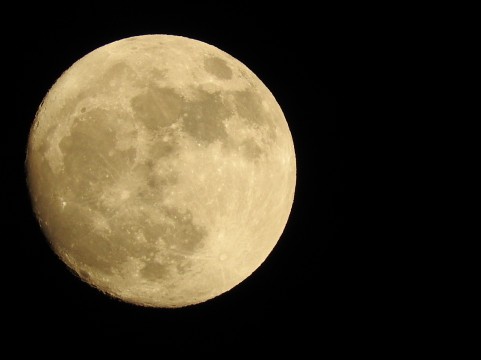 f:id:takashi125:20210521172829j:plain