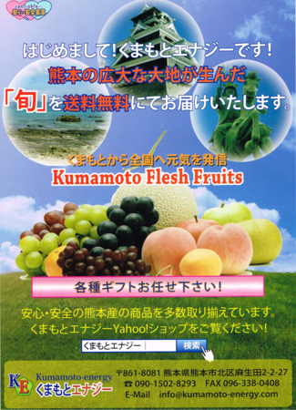 f:id:takashi1976:20131215225620j:image:left