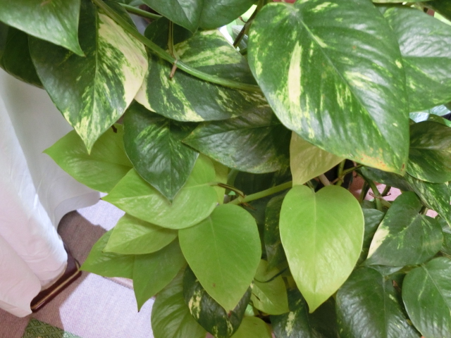 f:id:takashi2020:20220410214330j:plain