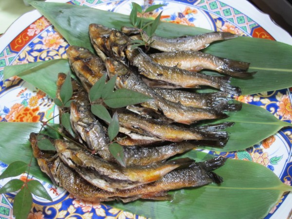 旬の寒ウグイを味わい交流を深める 下呂市で第10回ぎふ魚食文化サロン 里山川海を歩く ライター新美の活動記録 旬の寒ウグイを味わい交流を深める 下呂市で第10回ぎふ魚食文化サロン 里山川海を歩く ライター新美の活動記録