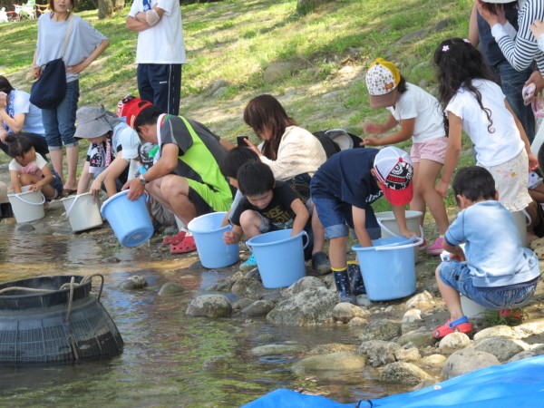 鮎の日 啓発イベント 愛知 矢作川漁協が放流体験行う 里山川海を歩く ライター新美の活動記録
