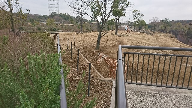 f:id:takashi61:20190222234348j:image f:id:takashi61:20190222234348j:image